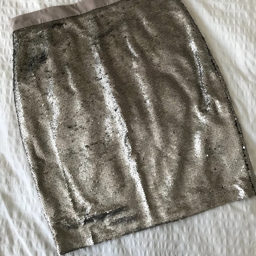 NWT Maison Jules Sequin Skirt